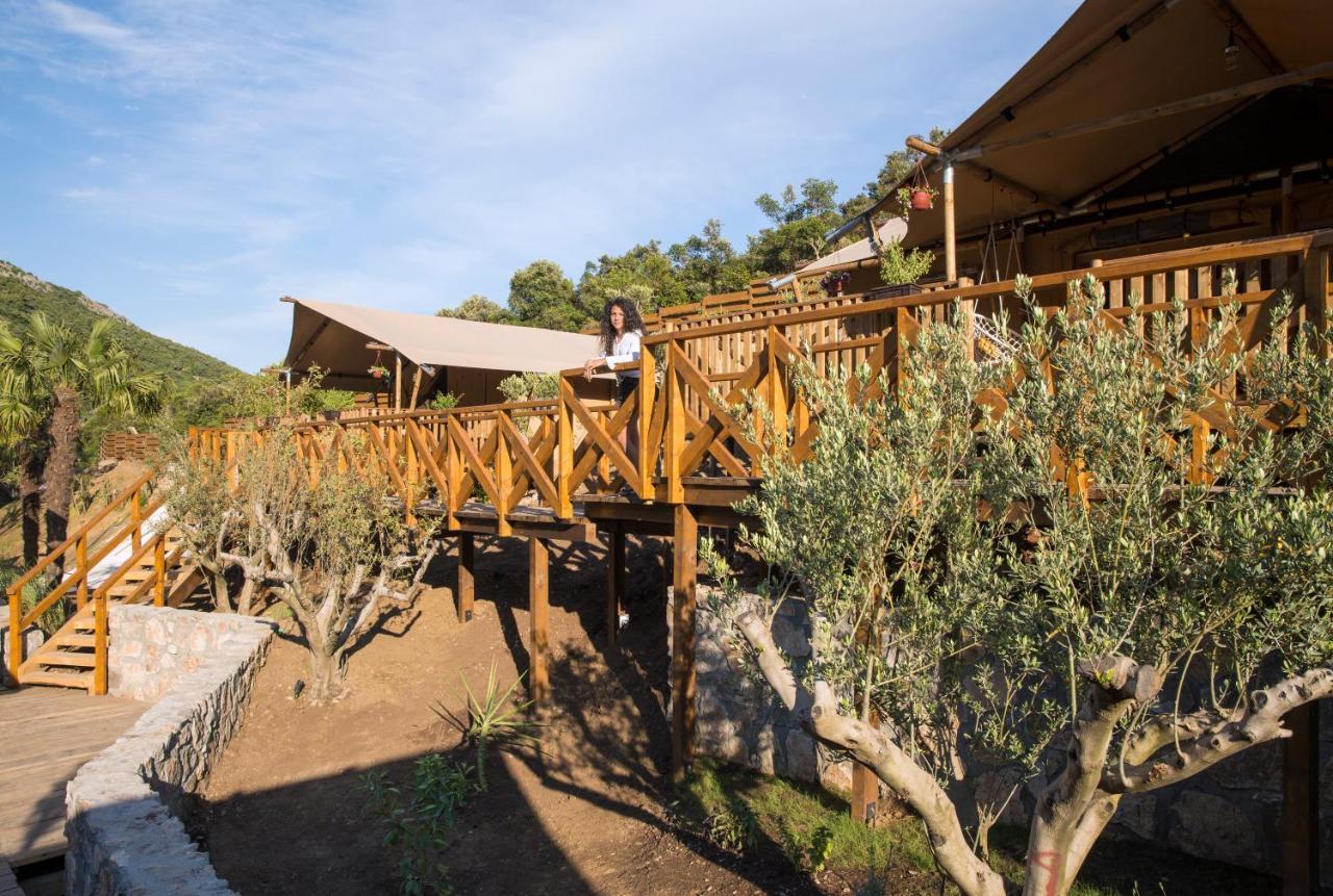 Sea Glamping Hotel โกตอร์ ภายนอก รูปภาพ